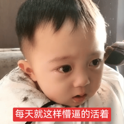 你们是玩抽象还是认真的