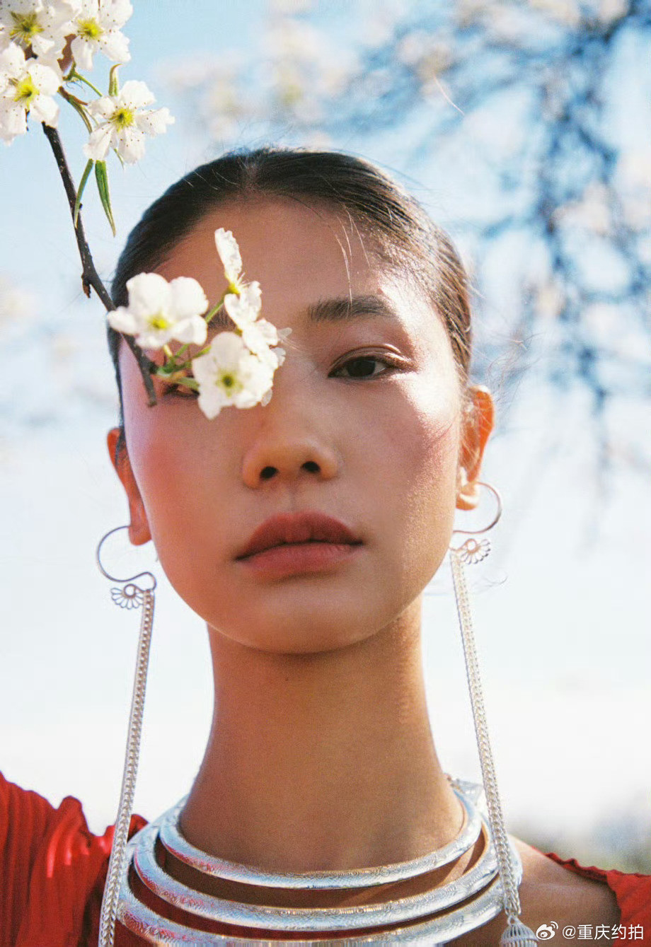 梨花落，春入墨摄影：