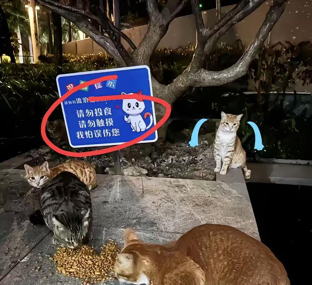 万万没想到，三亚蛇咬死人这场风波的赢家，不是生产蛇毒血清的企业，而是那些遍布