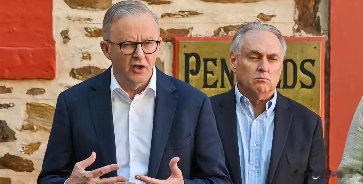 澳大利亚这次后悔得直扇自己的嘴巴，其12月31日站出来指责中方围岛演习“破坏地区