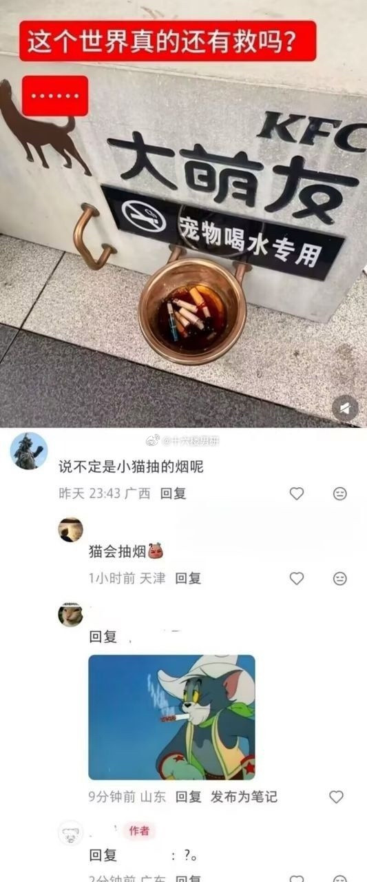 小动物喝水专用🚬🐱