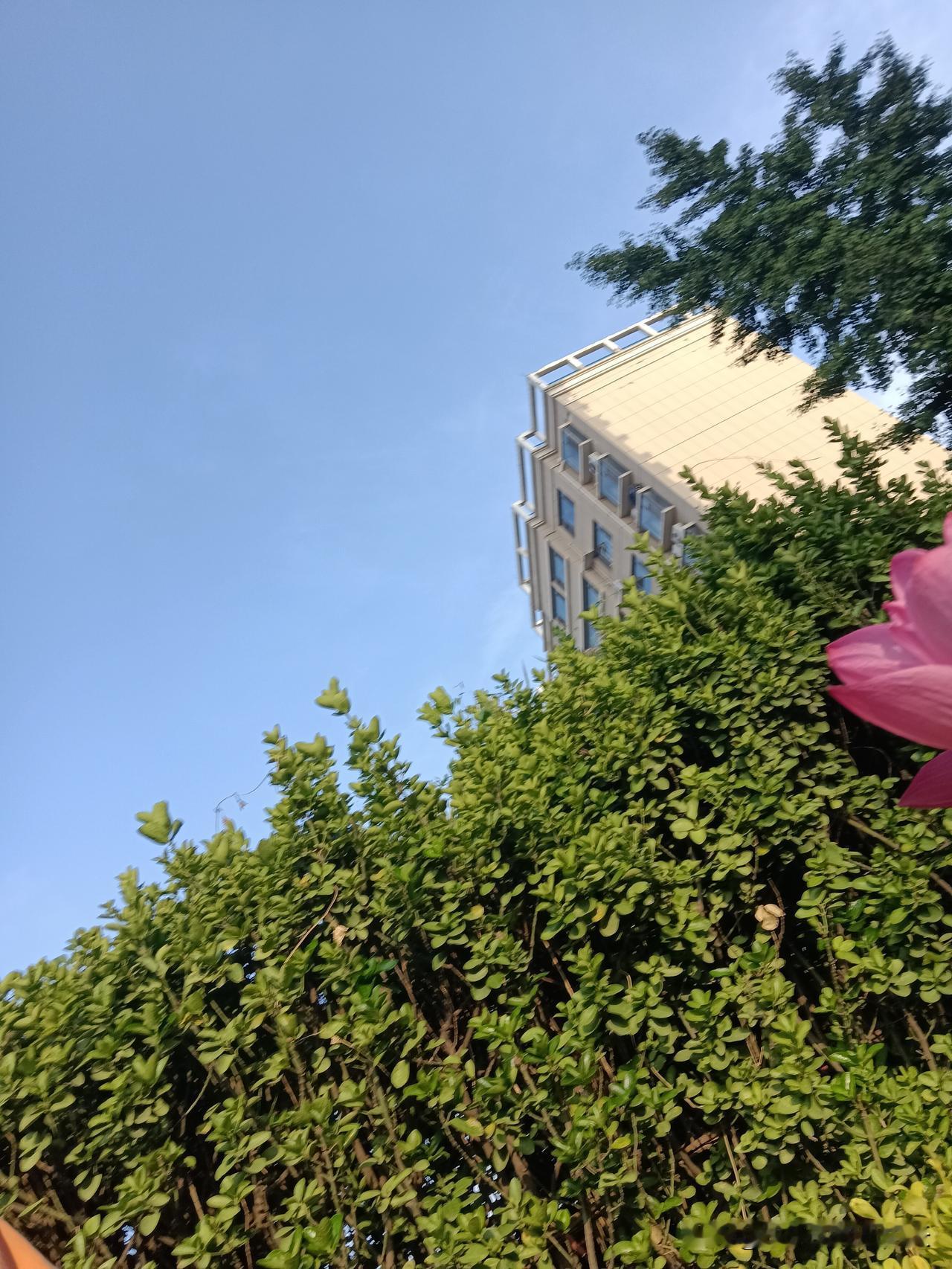 1、经常喝大酒的人，一个都靠不住。2、在你面前无所顾忌，不给你留面子的人，不