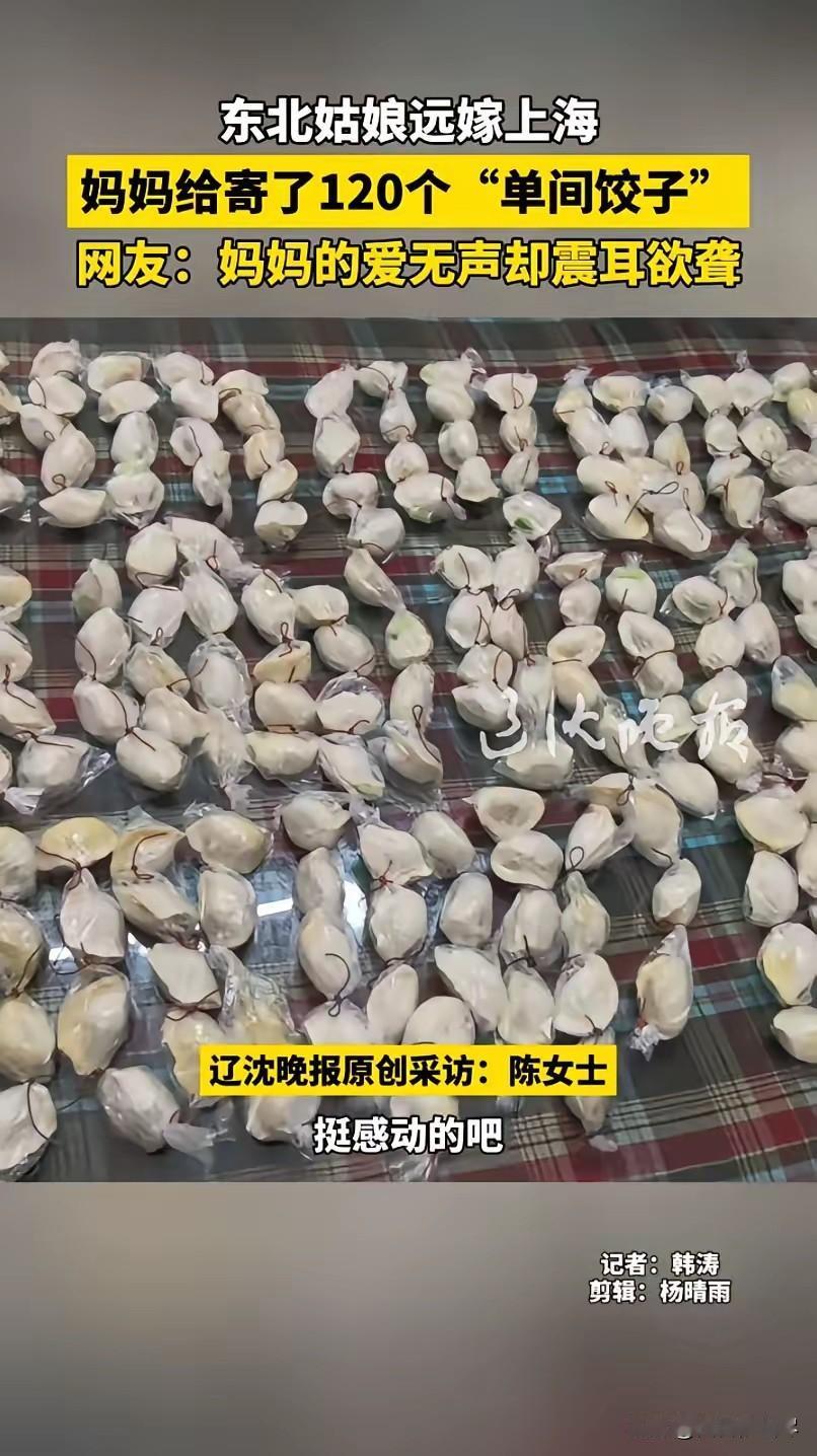 东北姑娘远嫁上海没回娘家过年，妈妈寄了120个“单间饺子”：防止饺子会坨，四个一