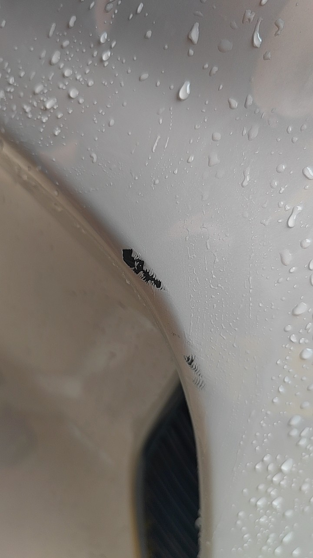 刚提一个月就中招拉真是郁闷，倒车居然刮蹭拉。宋PLUS有一个BUG就是在倒车时