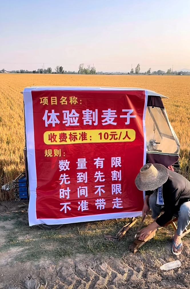 我觉得我们家也可以试试万一有人要来呢！
