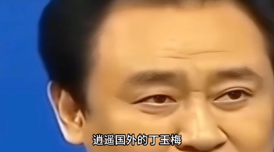 逍遥国外的丁玉梅没想到，15亿资产冻结后，许家印最后退路也没了。恒大这事儿真是