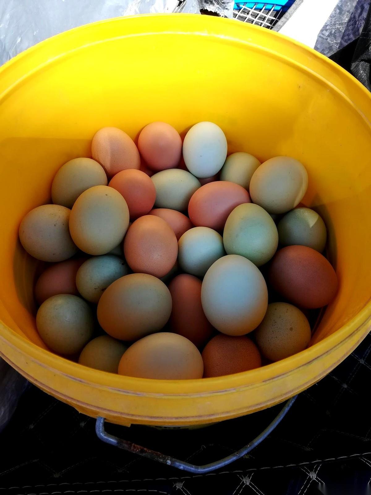 强子妈把一篮子鸡蛋塞我手里的时候，手劲大得像铁钳。她说，这些，都是给你的。我