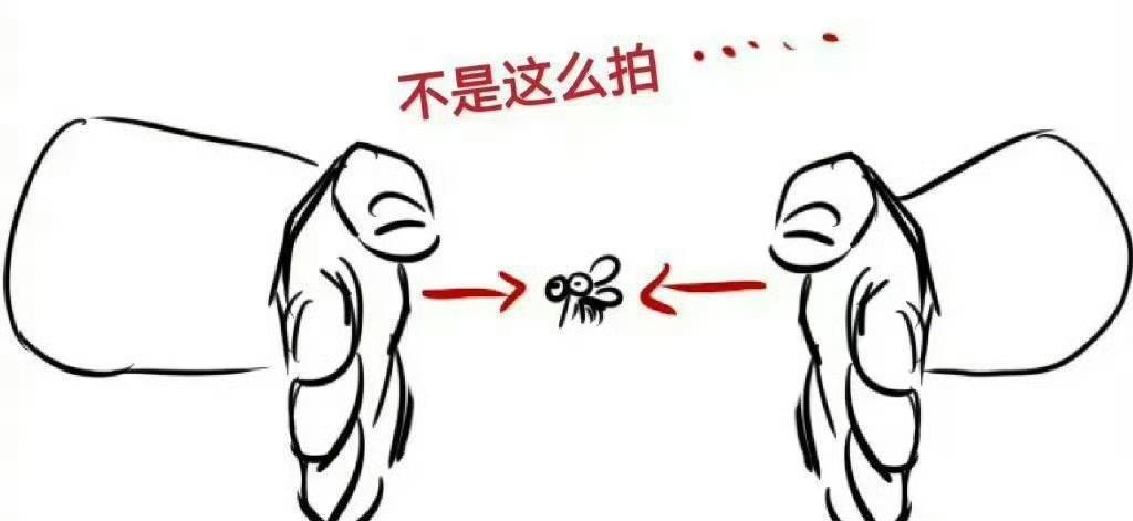 拍蚊子的有效技巧