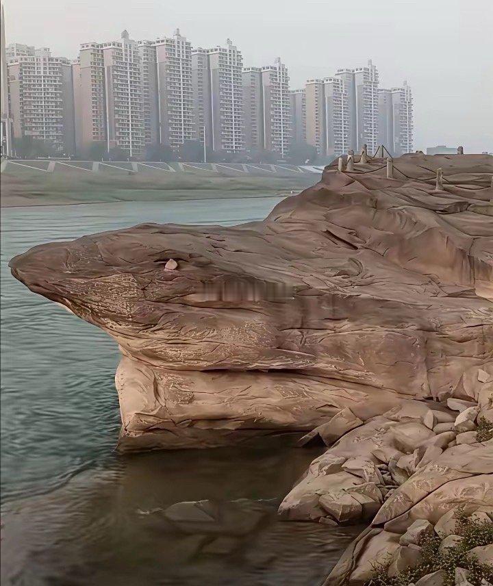 别动，它要成型了！​但好像背上被钉了七颗钉……​​​