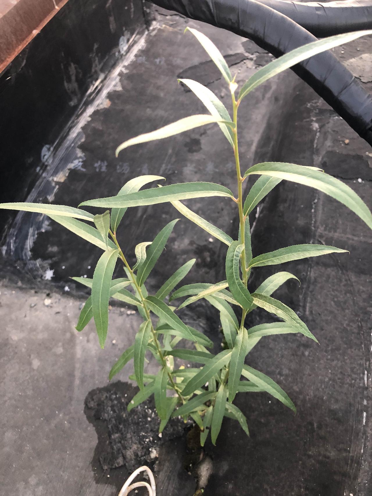 杭州取消灵隐寺的门票了，算是进步。宗教场所收门票实在是和价值观不符合。希望全国所