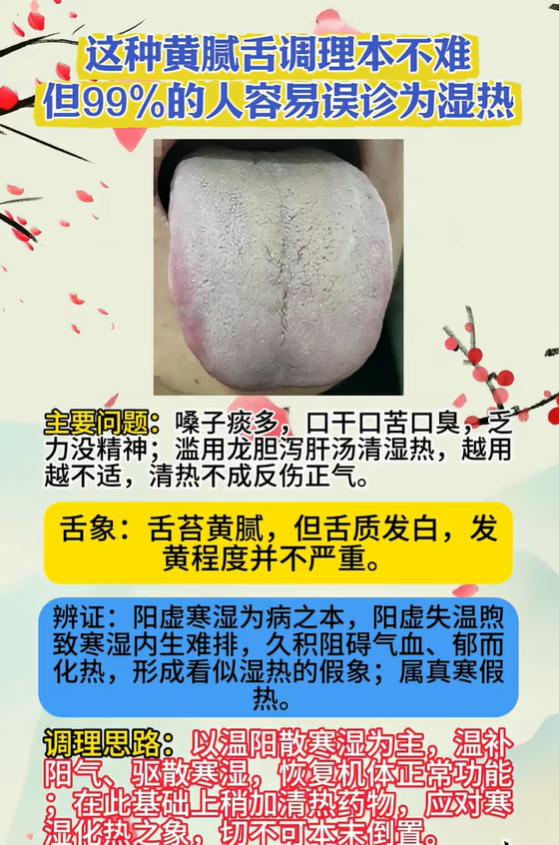 看着像湿热的黄腻舌，99%的人辨错，根源其实是阳虚寒湿