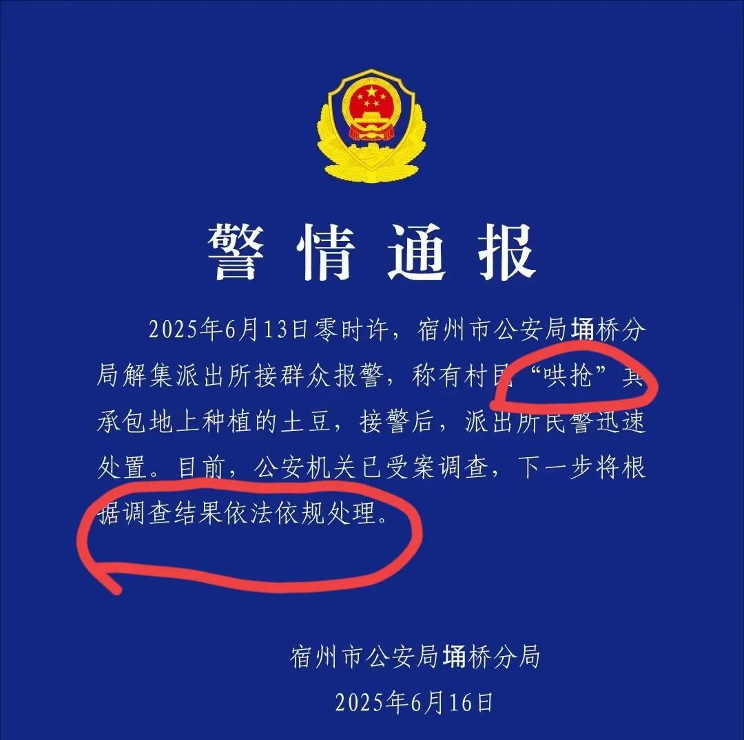 我敢保证，安徽宿州村民哄抢500亩土豆，这辈子都会后悔做这件事，因为这次真