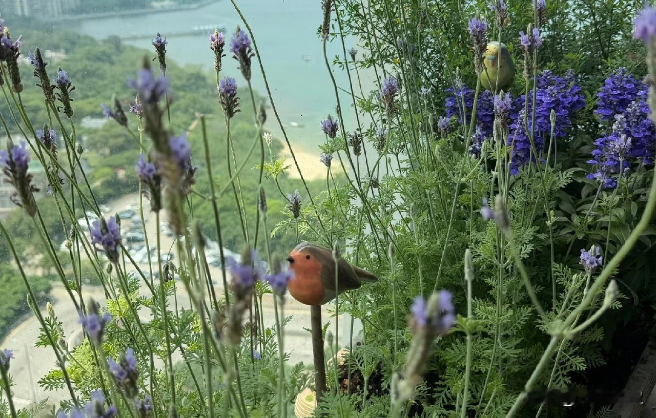 那些没有说出口的喜欢，那些默契的心领神会……昨天听到一个大学女生说她在高三，曾经