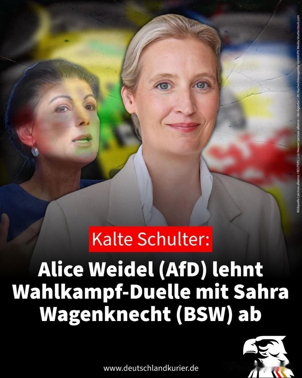 🇩🇪拒之门外：AfD（德国选择党）的爱丽丝·魏德尔（AliceWeidel