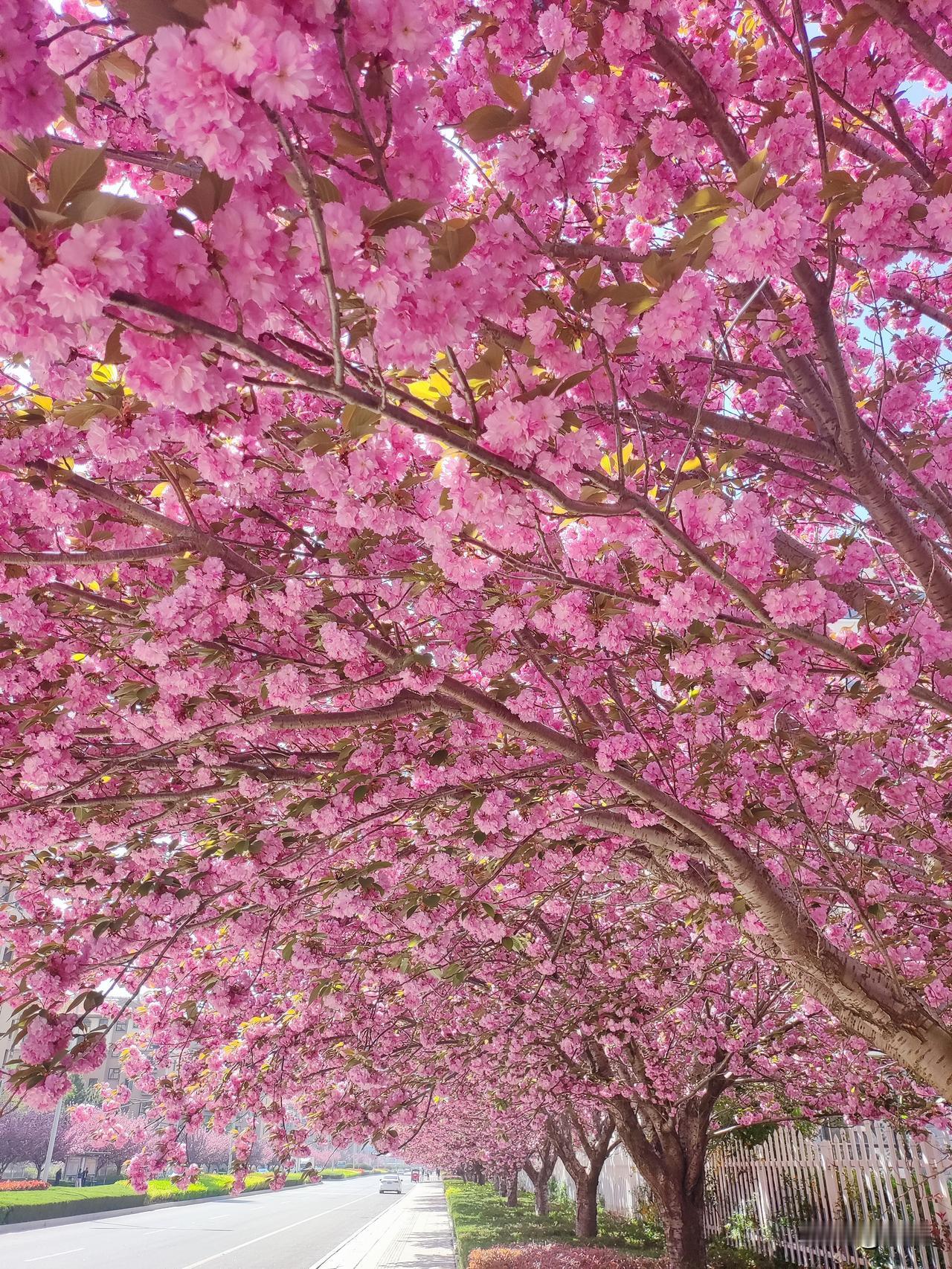 家里遇到大事，负面的那种，你会告诉正在上学的孩子吗？我选择了实话实说，我姐姐