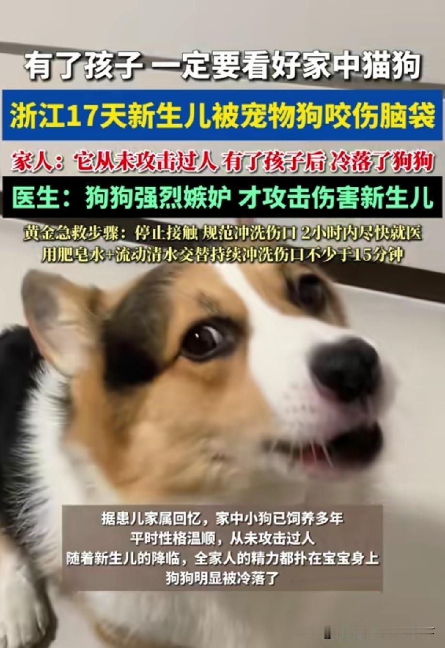 都是自己孩子，手心手背都是肉[思考]