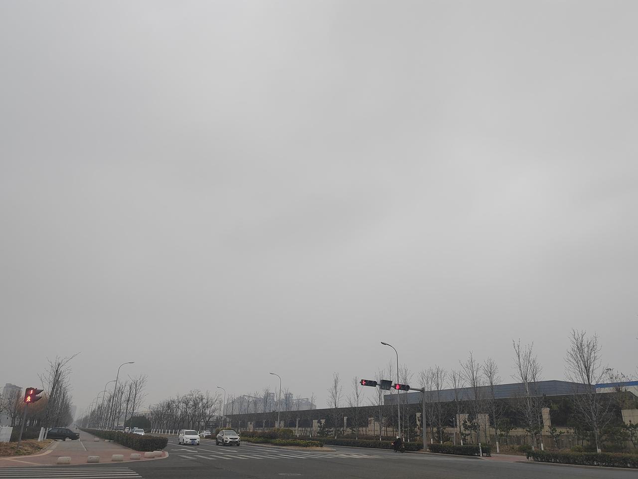 今日阴天，降温大风，结束了前几天的暖阳，冬日的北风还是来了。[捂脸哭]