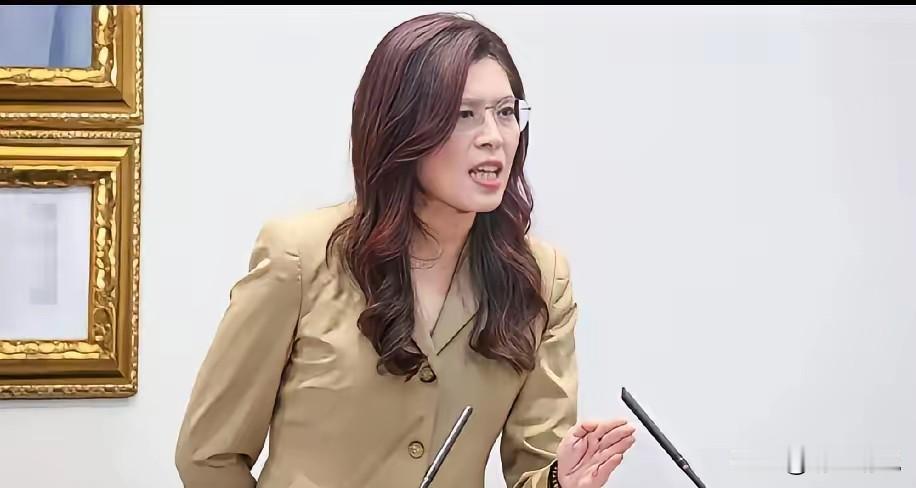 7月全代会风波：看似逼宫下架，实则是国民党十几年病根的总爆发近期岛内舆论持