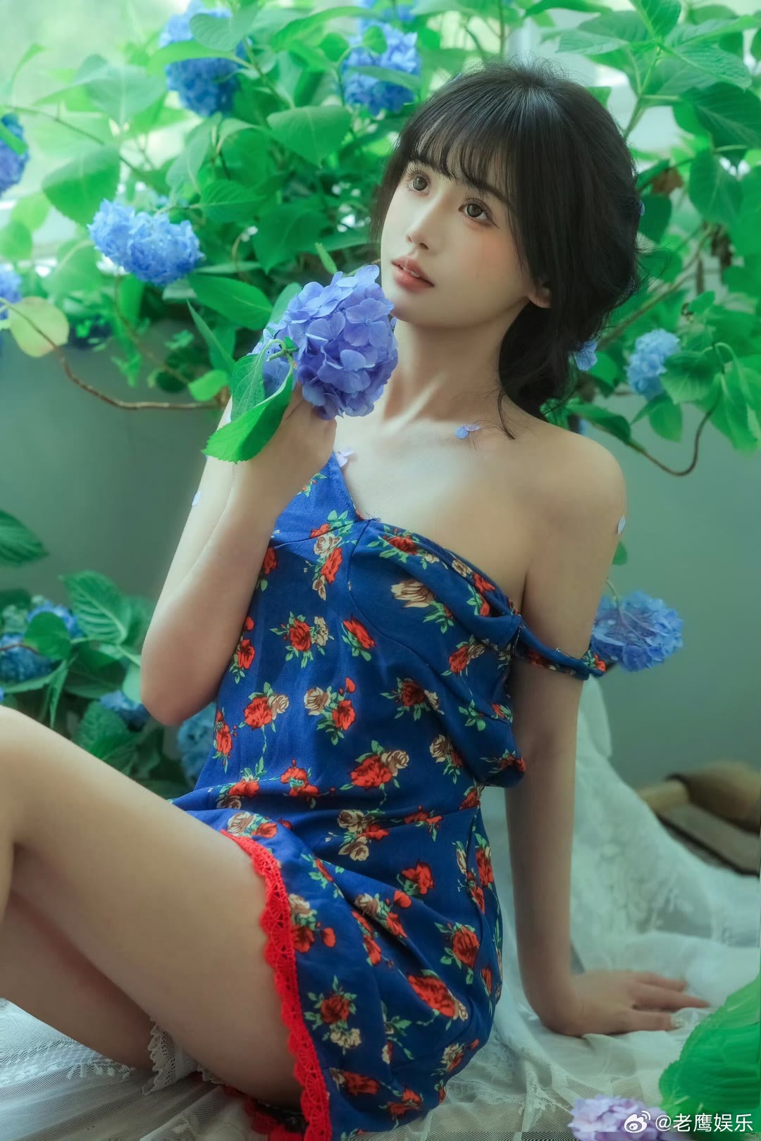 杨清柠身材蓝绣球铺满窗边，露肩碎花短裙勾勒曲线，优越体态尽显，杨清柠身材氛围
