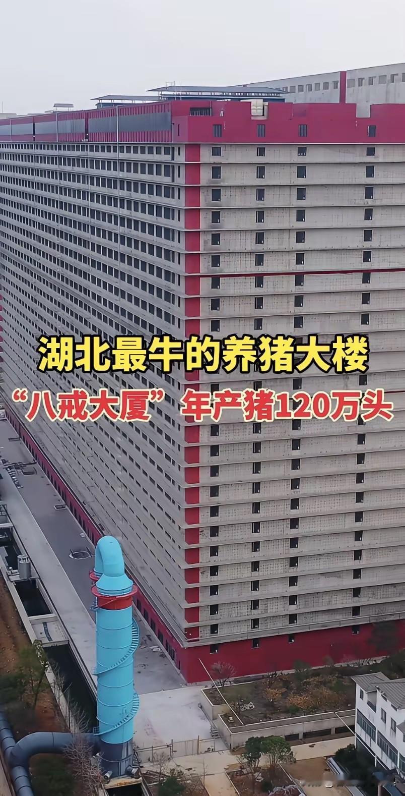 万万没有想到，现在养猪居然都那么先进了，白瞎我看了十几年电视，现在才知道！[我想