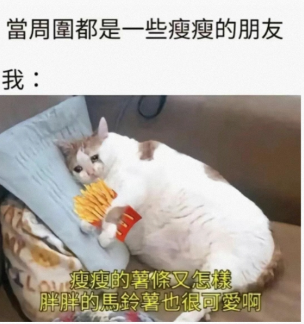 当周围都是一些瘦瘦的朋友