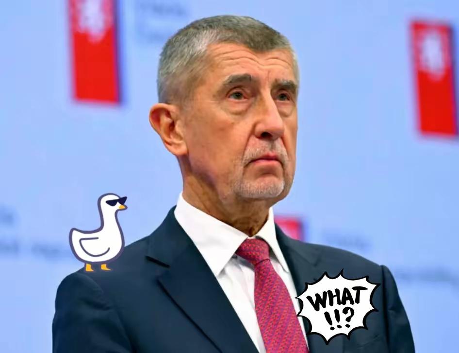 捷克总理表示了！​当地时间1月6日，捷克总理安德烈·巴比什在巴黎参加“意愿联盟