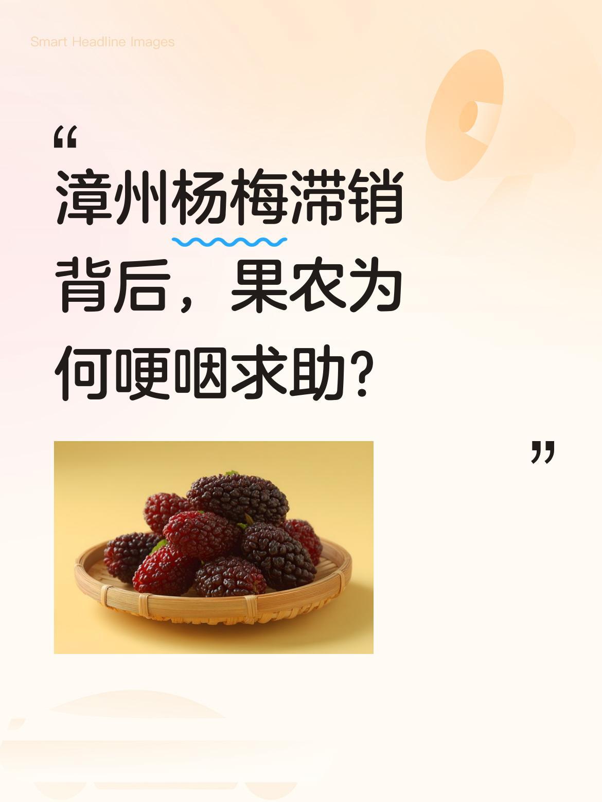 漳州杨梅滞销背后，果农为何哽咽求助？有着700多年种植历史的漳州杨梅，近期遭遇