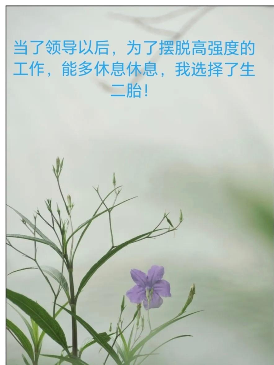 当了领导才知道，领导其实是害怕下属的。我干的很窝囊，干的令自己绝望。2019年