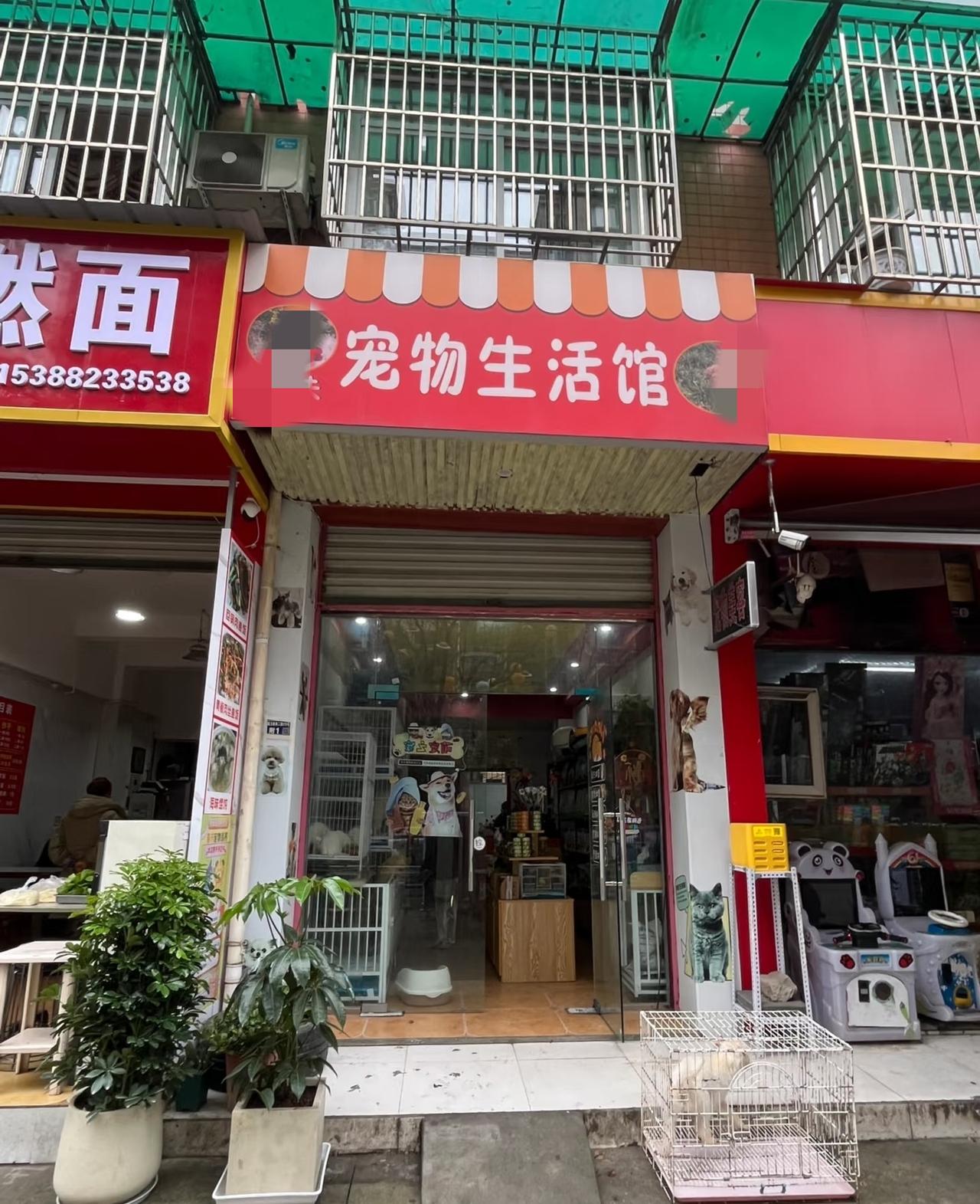 我认识一个姐姐，今年四十五岁，开一家宠物店，丈夫婚内出轨，她离婚带一个3