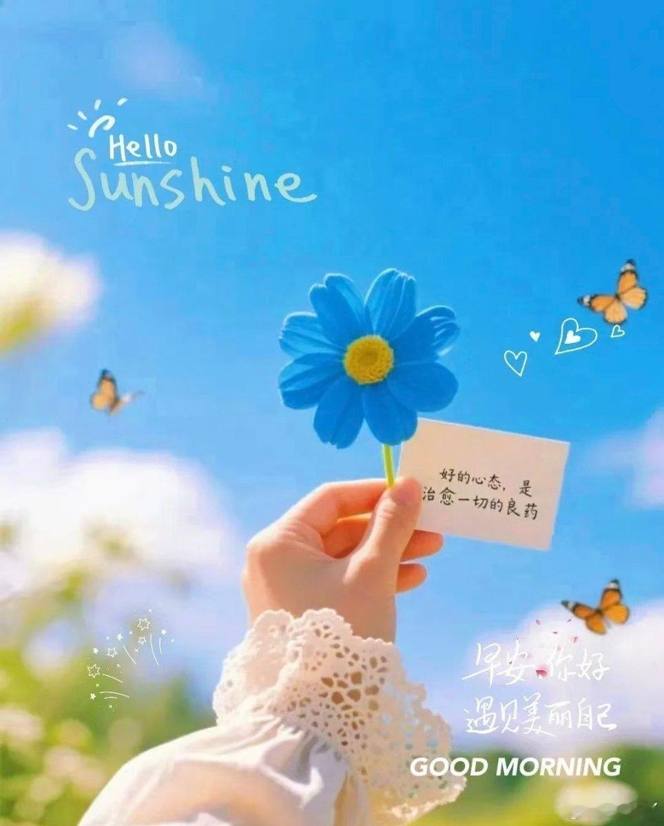 早安早安՞•ᴥ•՞ 当你选择热爱生活时， 生活也会选择热爱你， 用无数