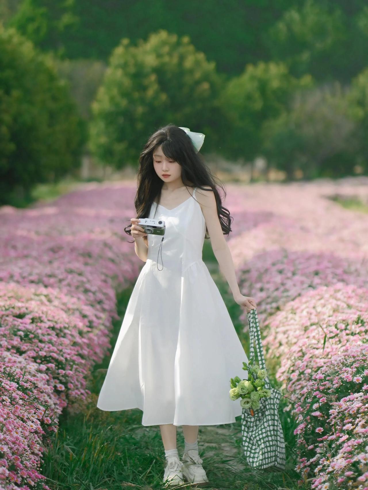 漫步花海