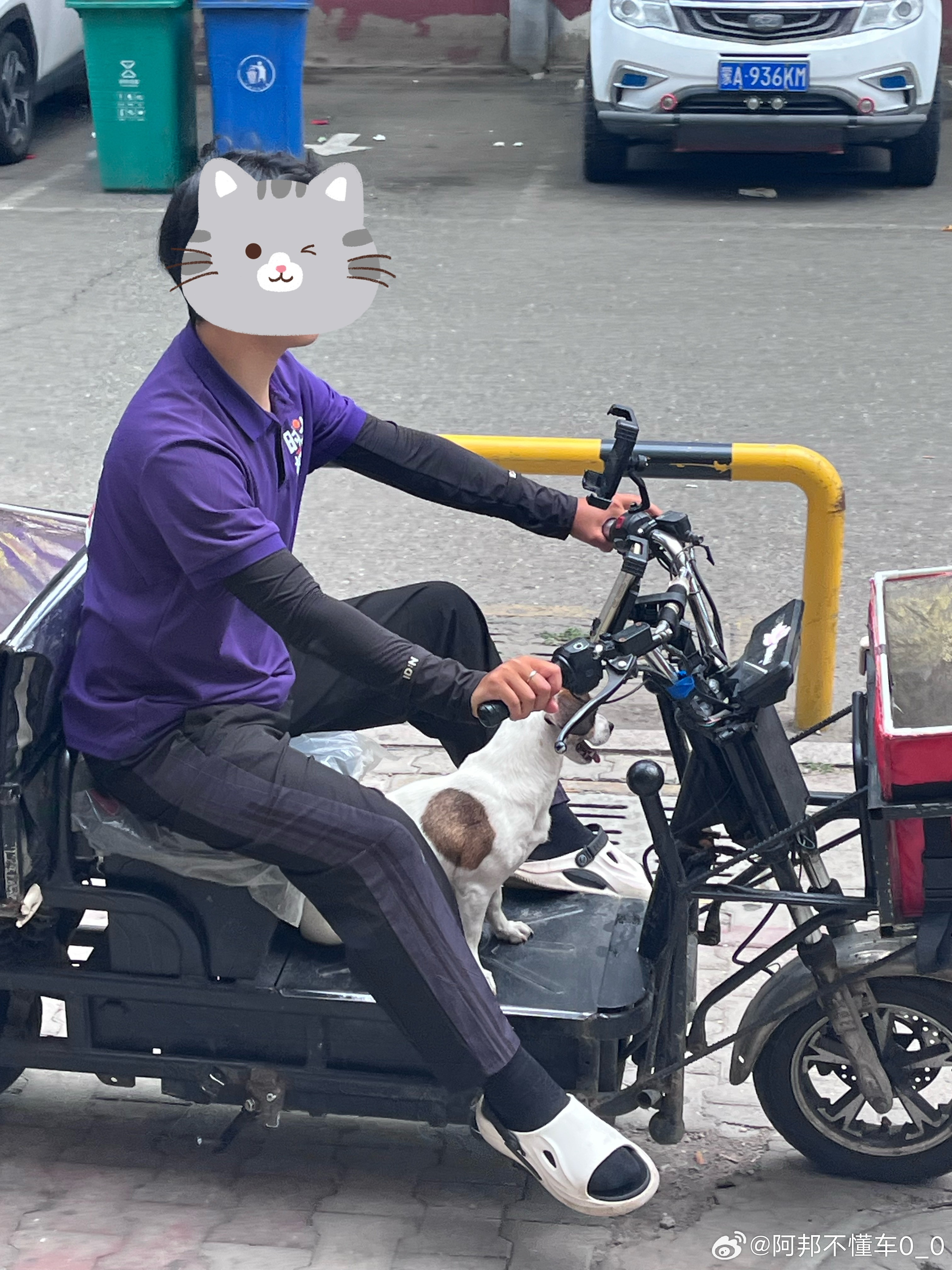 这小狗太灵了，主人还没来呢，小狗子预计在车上做好了