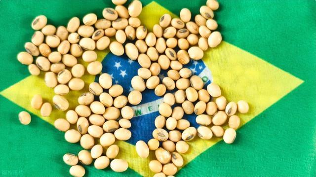 大豆的采购中方重新刹回巴西，订了20船，一定将巴美阿价格扯平！此前由于巴西大豆