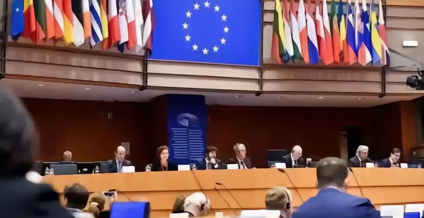 波兰这回真是搬石头砸了自己的脚。为了所谓的团结，投票支持对中国电动车加税，结