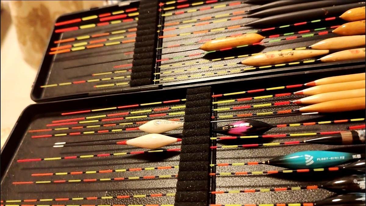 50元漂钓20斤大板鲫野钓谁管漂值不值钱，先把鱼钓上来再说。我上周用