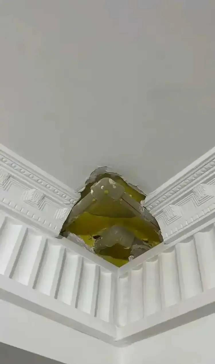 这个情况只能锯掉吗？