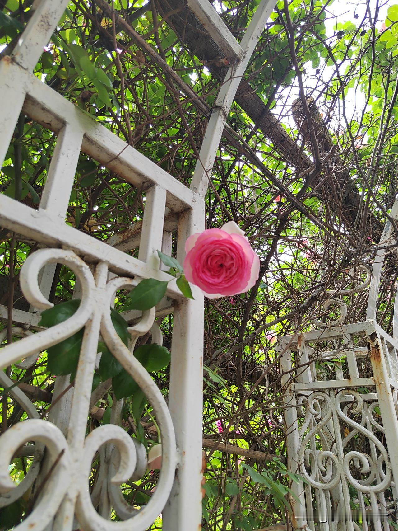 我想来个问卷调查。你们说，一个月1090元的养老金够花吗？我今年2月份退休，