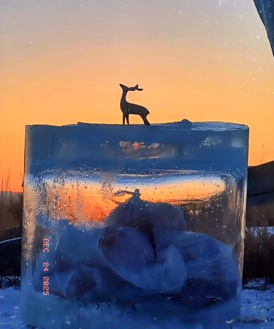 你能留下一张最美的日落照吗