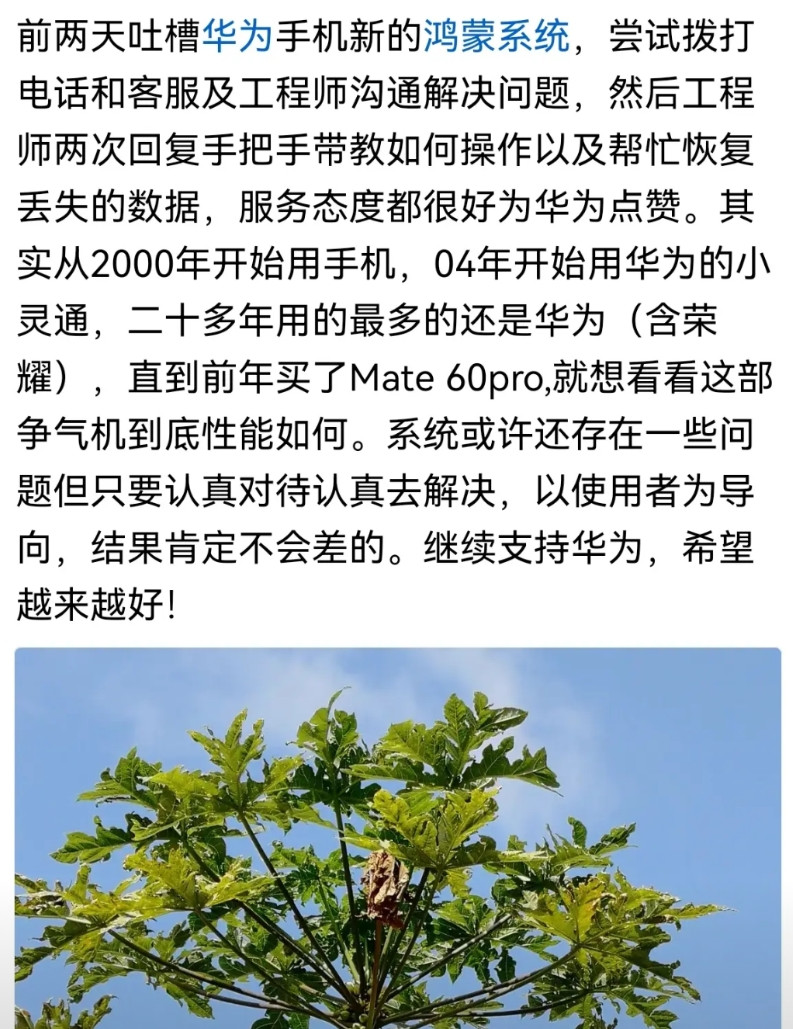 这回没话说了吧，华为挺用心的，工程师也没有摆烂，原生鸿蒙一直在进步。麻烦小黑子长