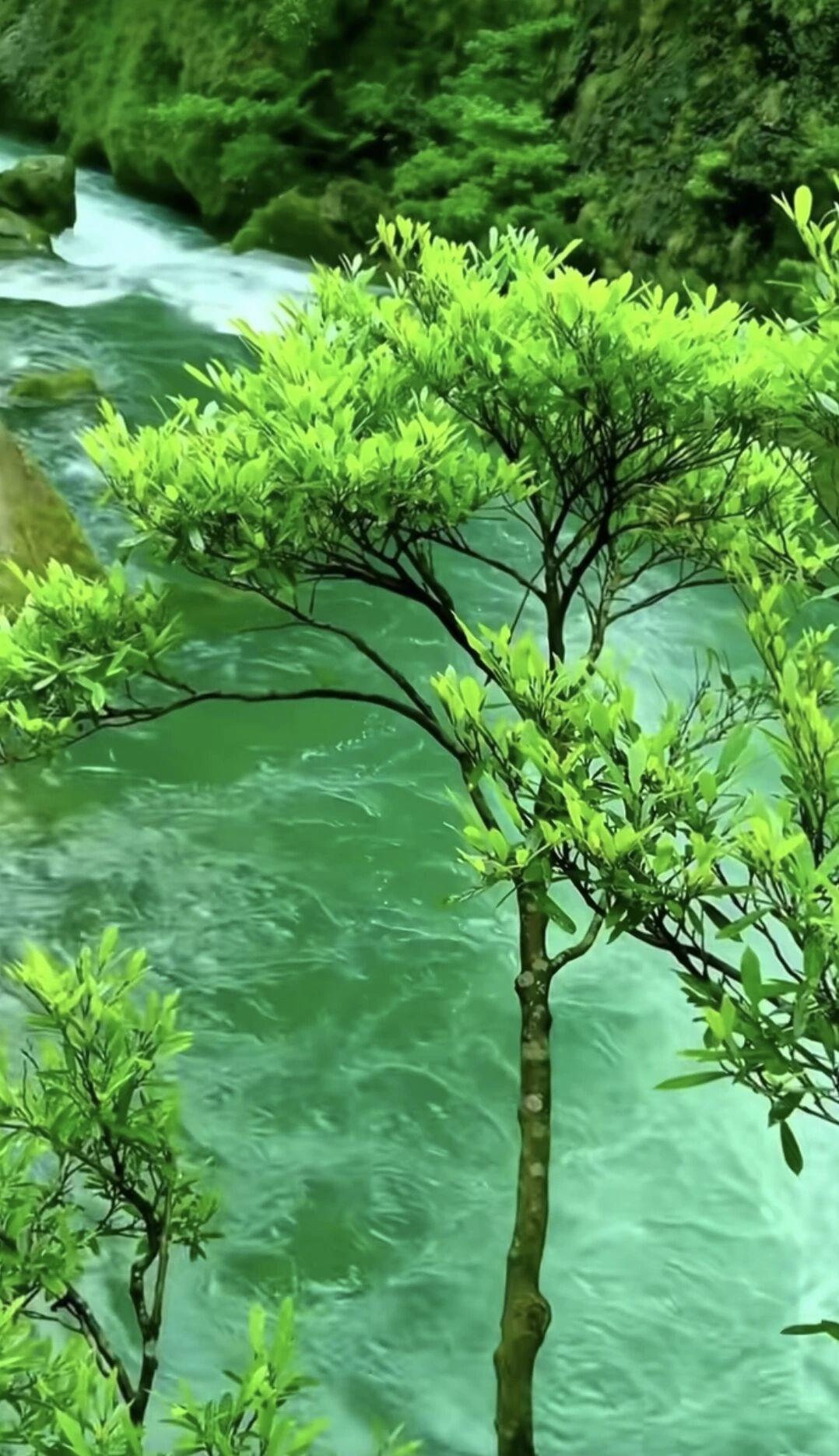 最值得一提的是天蝎干净的灵魂。天蝎即使经历了生活的磨难，感情的不顺，朋友的