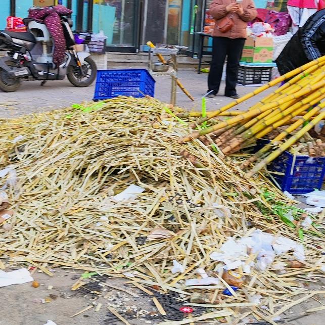 25块一根甘蔗，想吃，舍不得买……冬天卖甘蔗的好火呀，这甘蔗皮都堆成小山了。