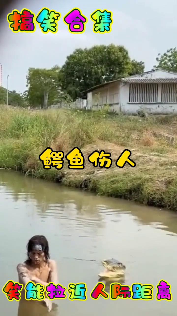 搞笑合集：笑能拉近人际距离。鳄鱼伤人，真够坏。