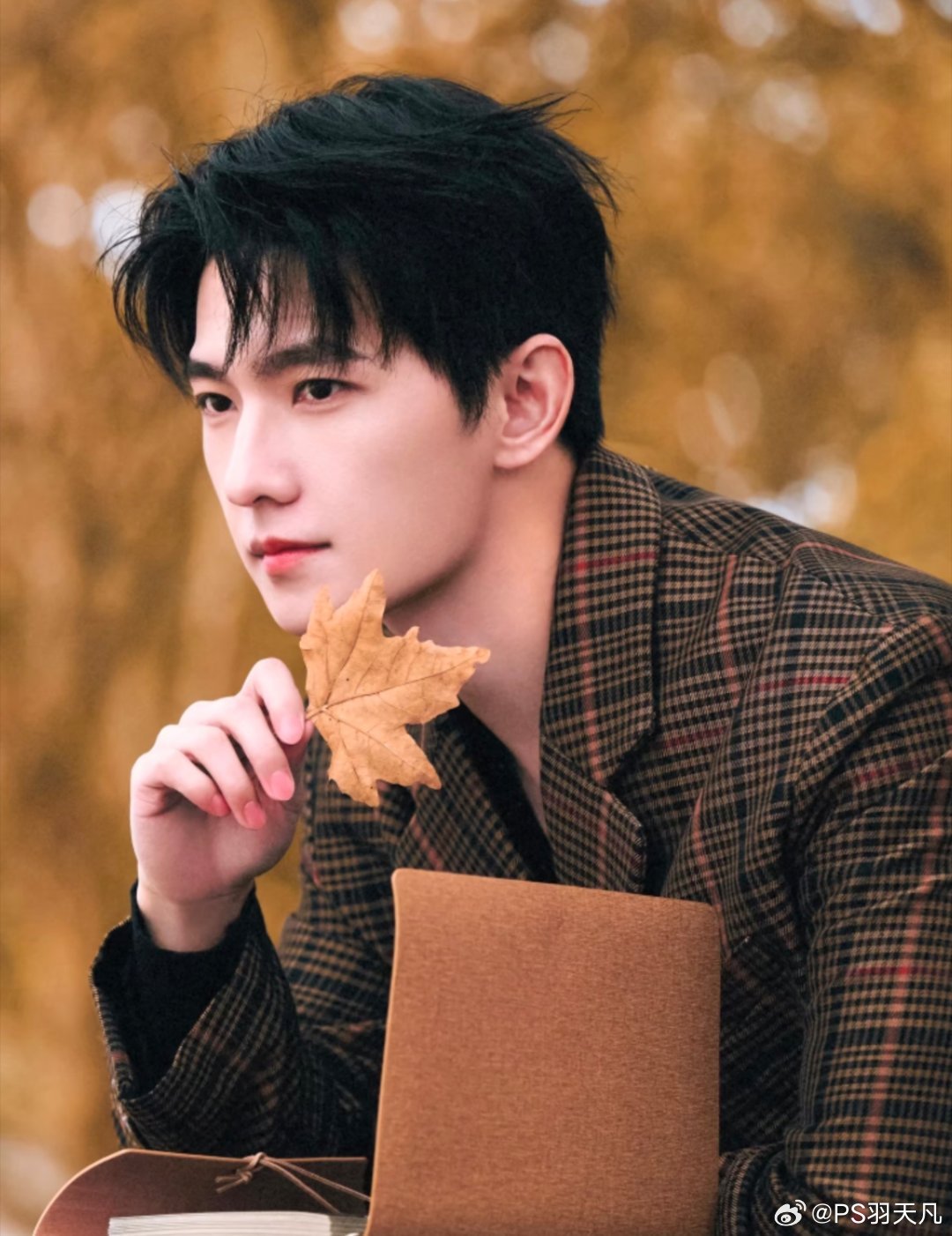 1、佘诗曼新闻女王2播出效果远不如1，平台内部不太满意，这部投资并不低，之所以现