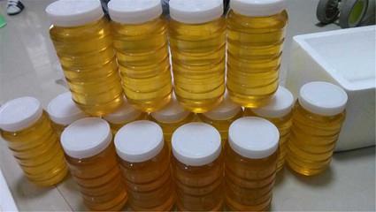 假蜂蜜是如何制作的? 68岁良心老蜂农告诉你