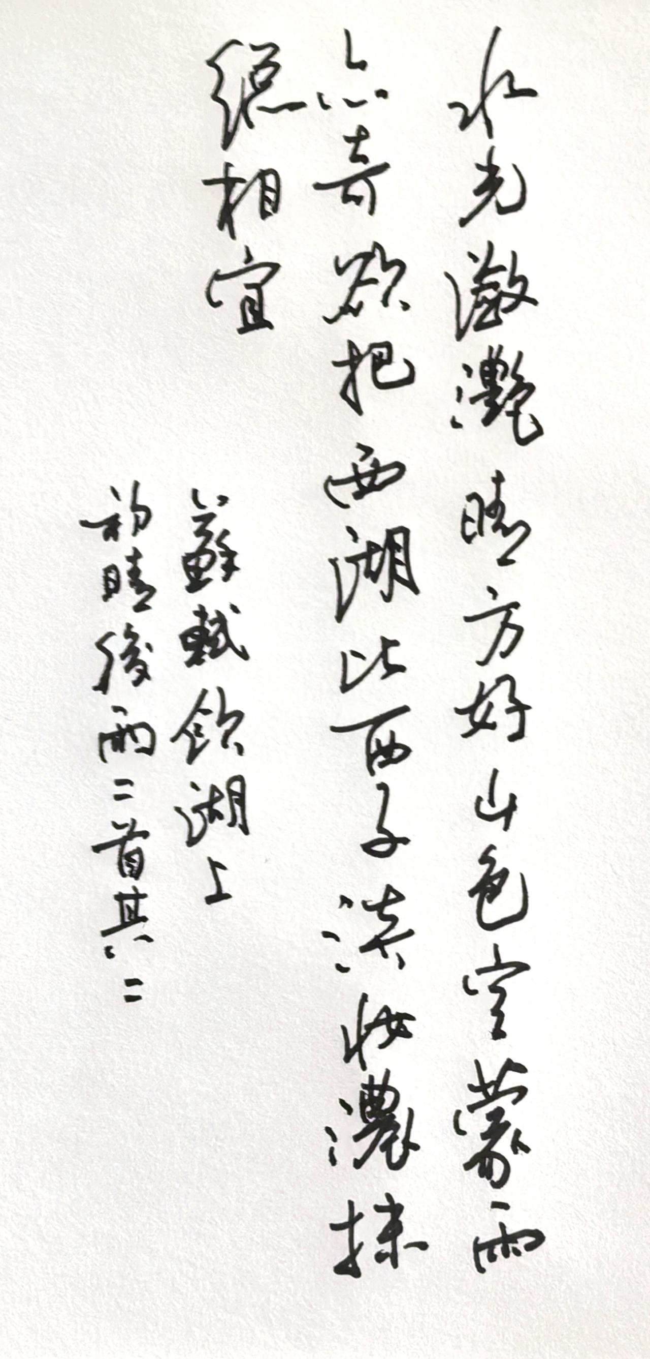 硬笔草书简评优点章法行气流畅竖列排布疏密均衡，字与字牵丝自然连贯，整幅一气