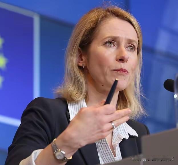 这才是乌克兰最应该担心的问题！欧盟都开始说实话了！德新社12月15日报道，欧