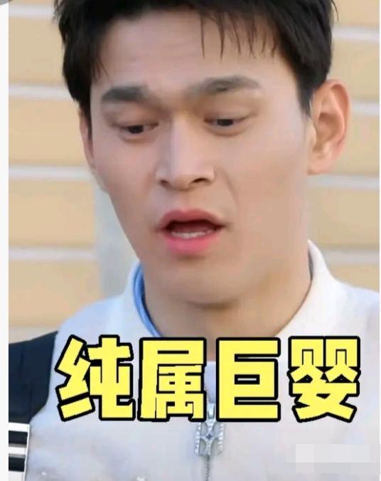 妻子的浪漫旅行干脆直接改名叫“孙杨的浪漫旅行”算了，因为在这节目里，孙杨完全就是
