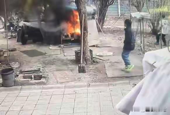 玩炮仗把人家狗笼给点着了，导致养了7年的狗狗被烧死，狗主人不要赔偿只要求公开道歉