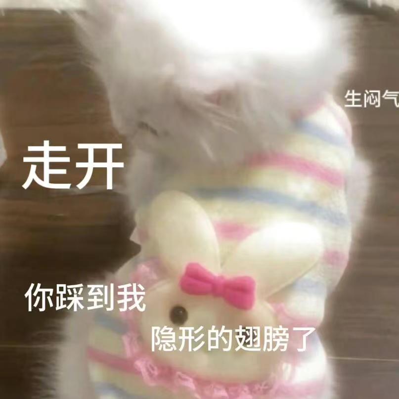 旅游很多次才知道的事景区讲解员比自己瞎逛强太多，那些石碑背后的故事、建筑里的巧