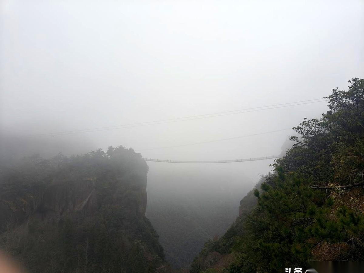 “老粉看过来，新粉不用看！”——这条留言像炸弹一样，瞬间在群里炸开了锅。没人料到